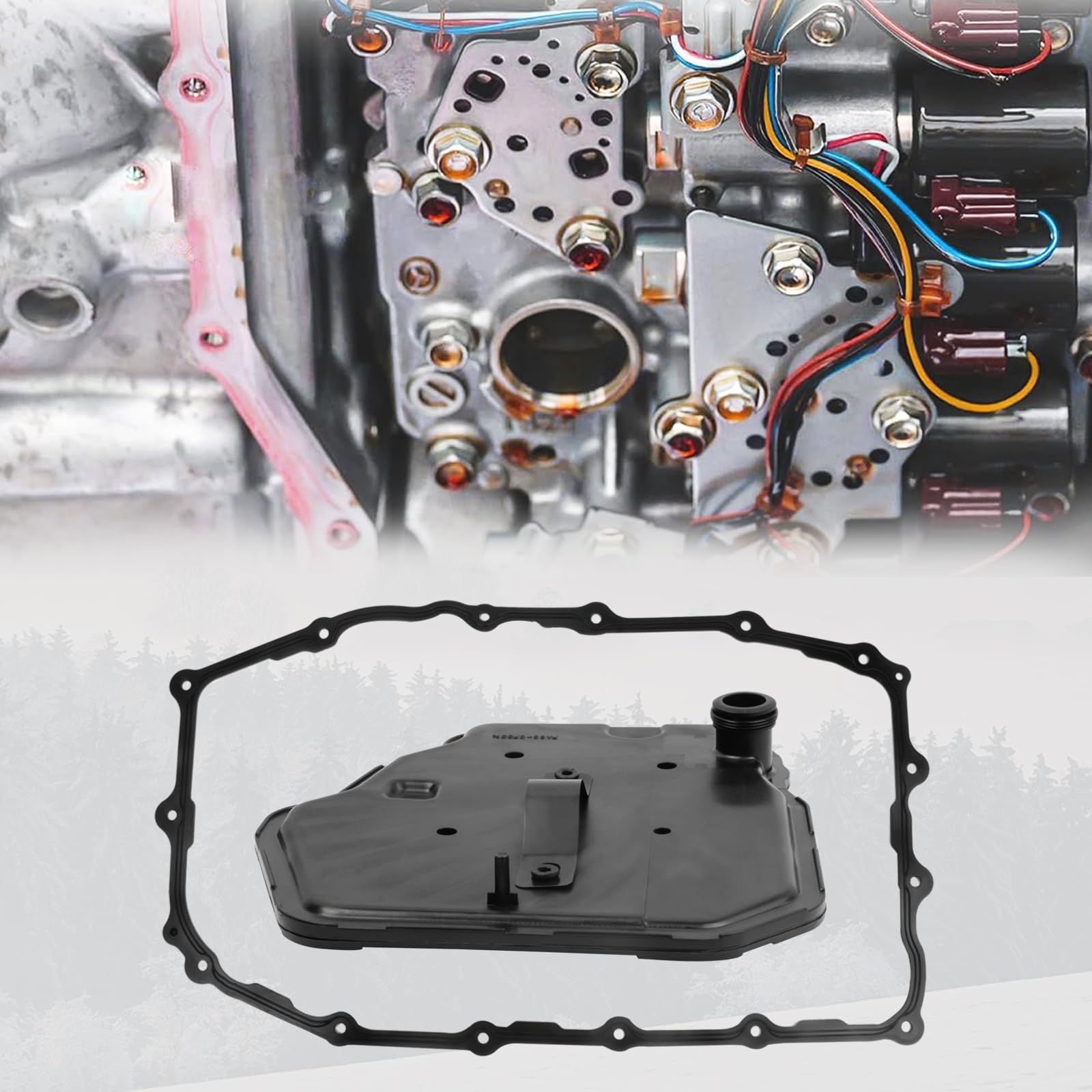 Reeoutdoor 12-month warranty image for confident purchase.