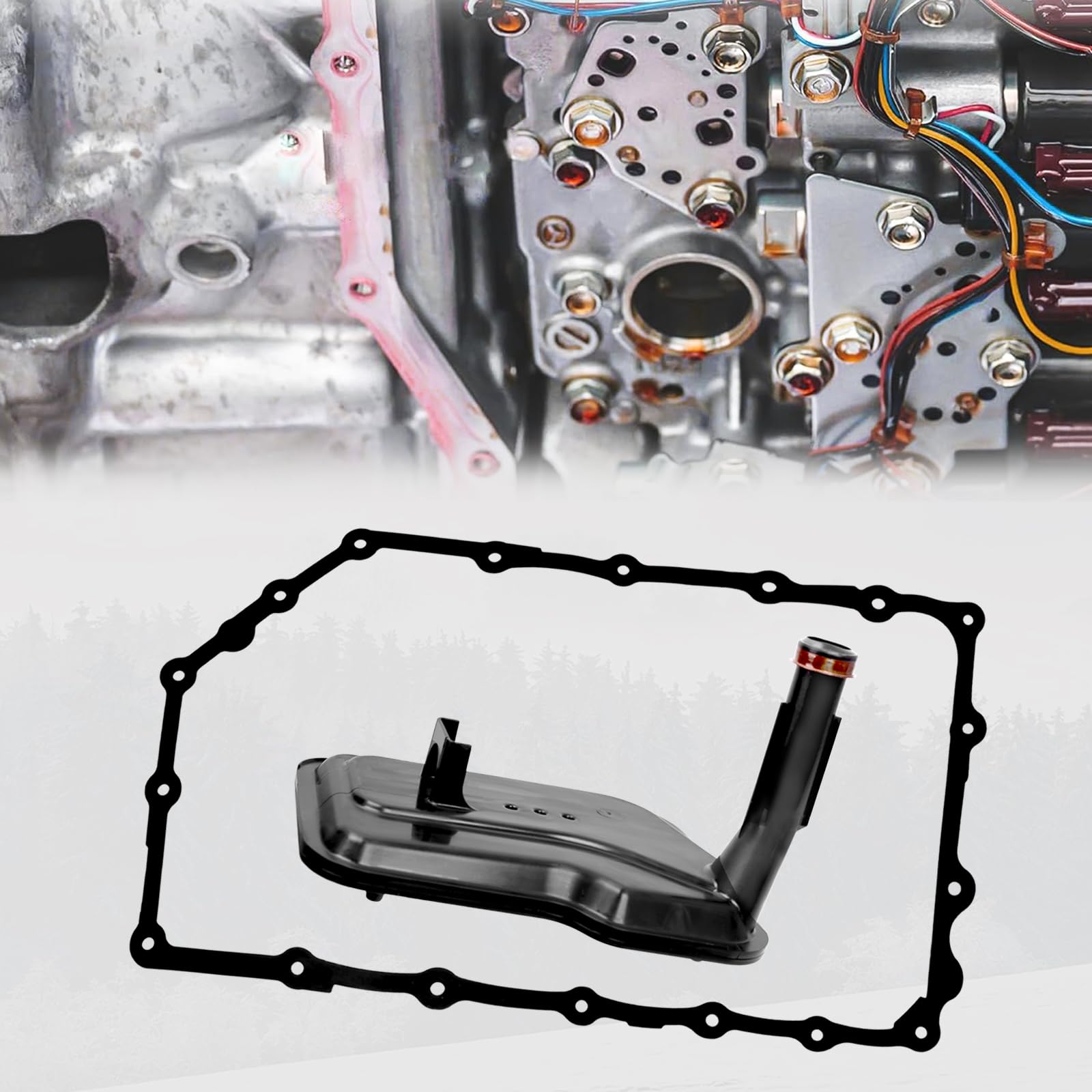 Reeoutdoor transmission maintenance kit includes filter and gasket