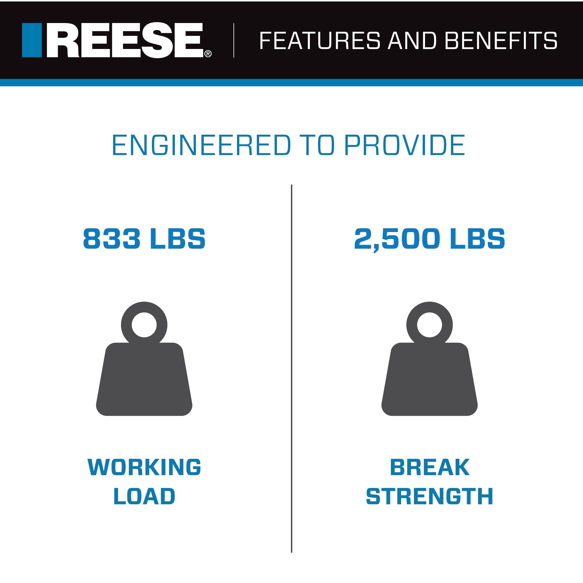 Reese tie-down strap with rugged webbing for demanding marine use.