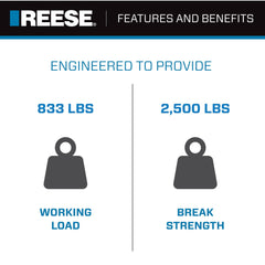 Reese tie-down strap with rugged webbing for demanding marine use.