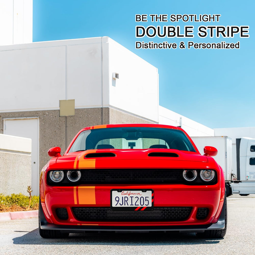 REMOCH license plate frames rear view, red accent and secure mounting.