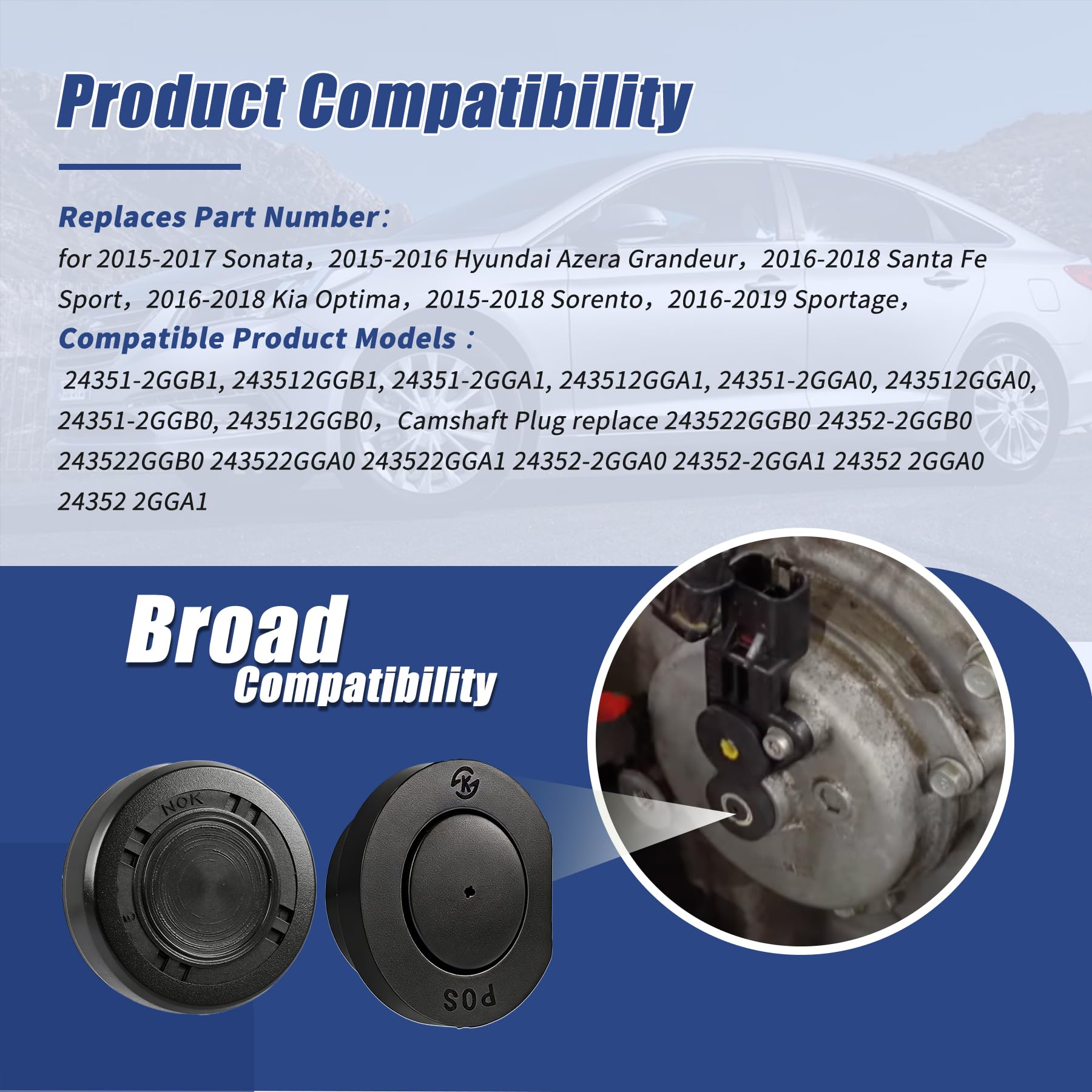 Retepif camshaft plug replacement numbers shown for versatile compatibility.