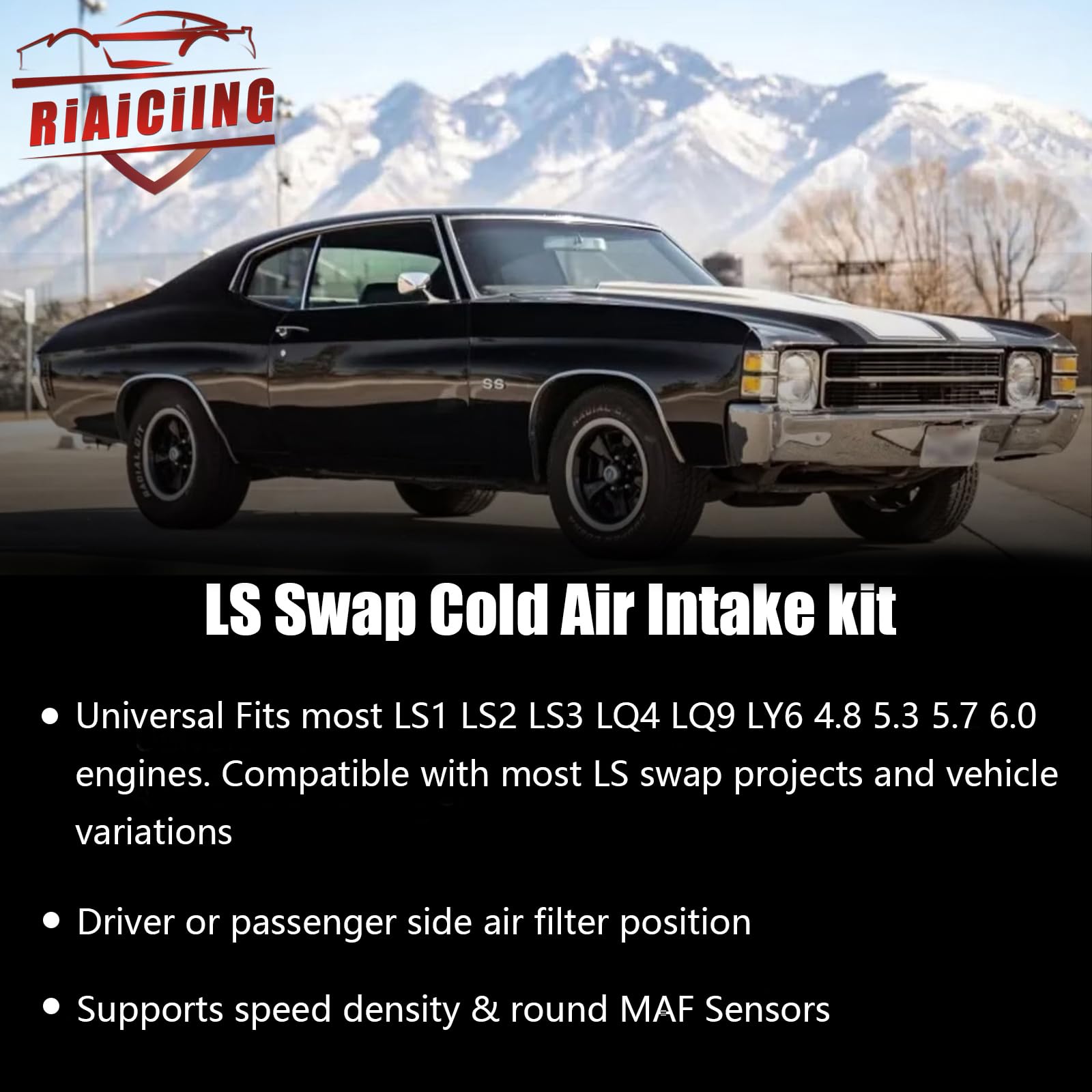 RiAiCiING driver-side filter position for maximum clearance in the engine bay.