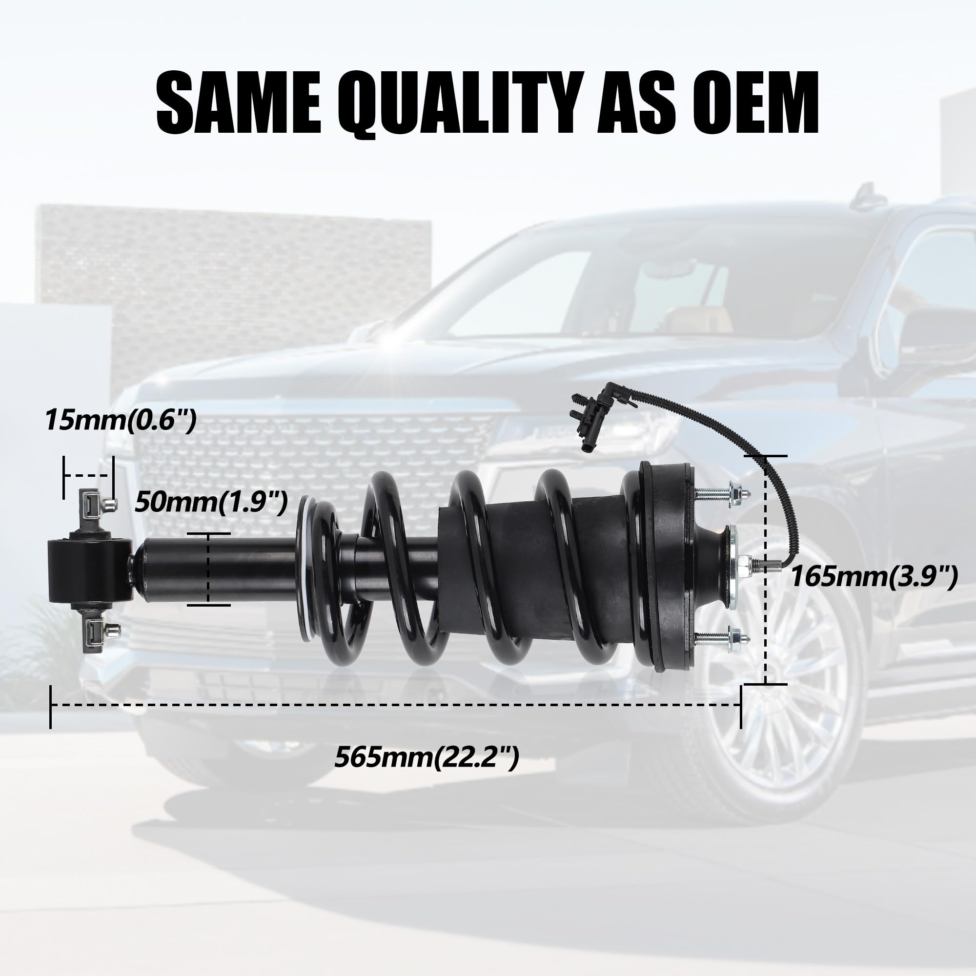Richeer spring design compact assembly highlighting chromium-silicon alloy spring durability.