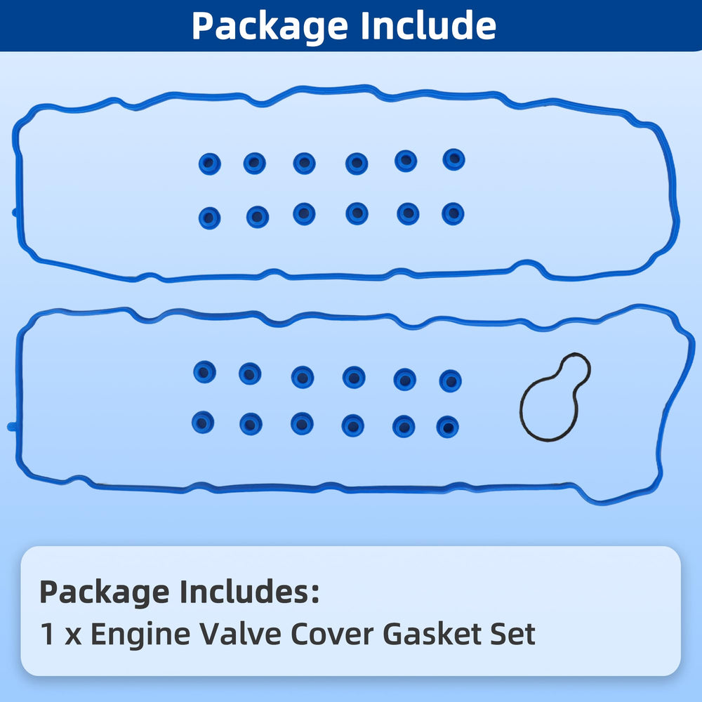 RICHWEI VS50577R Commander 4-7L gasket in install ready view