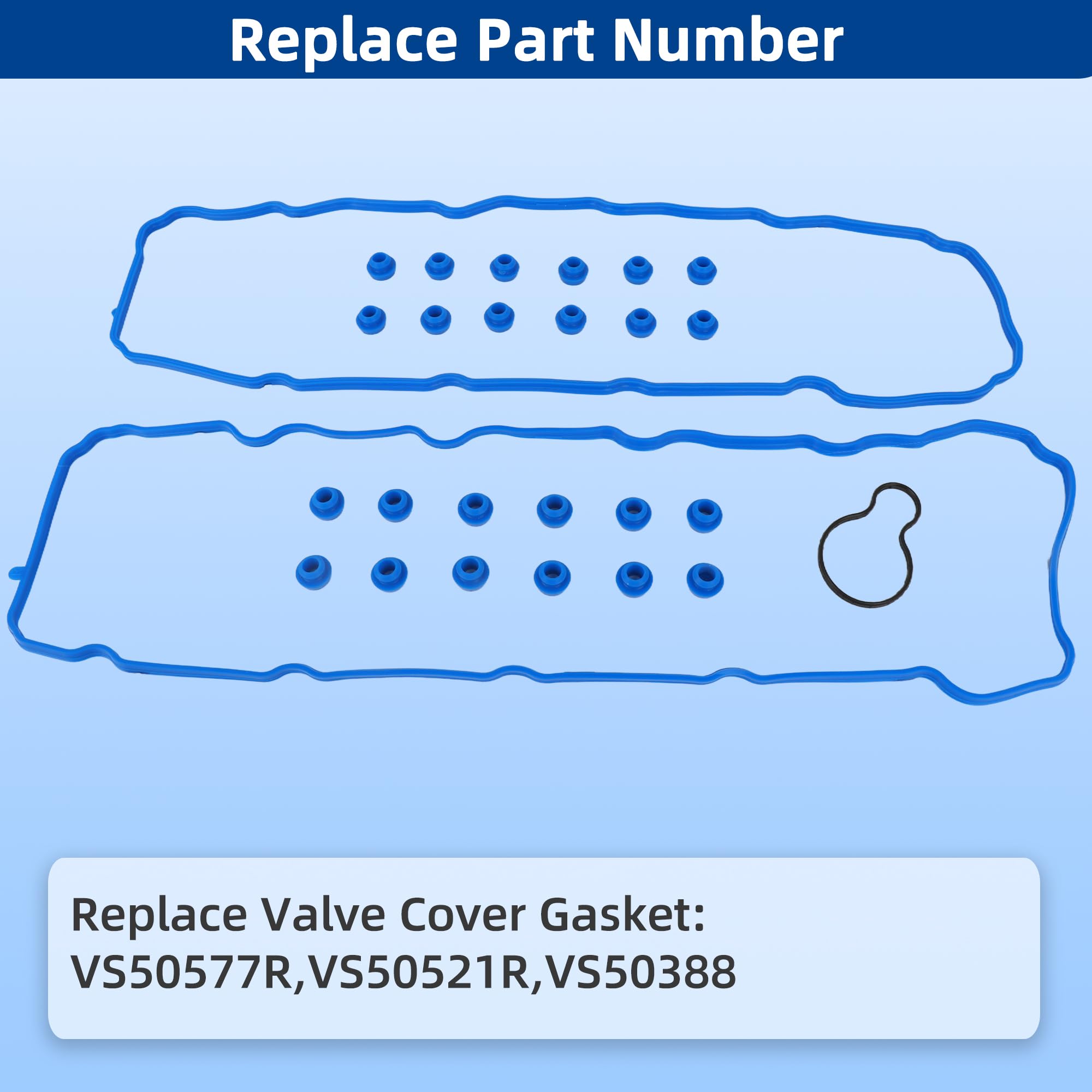 RICHWEI VS50577R Grand Cherokee 4-7L gasket close up for fit