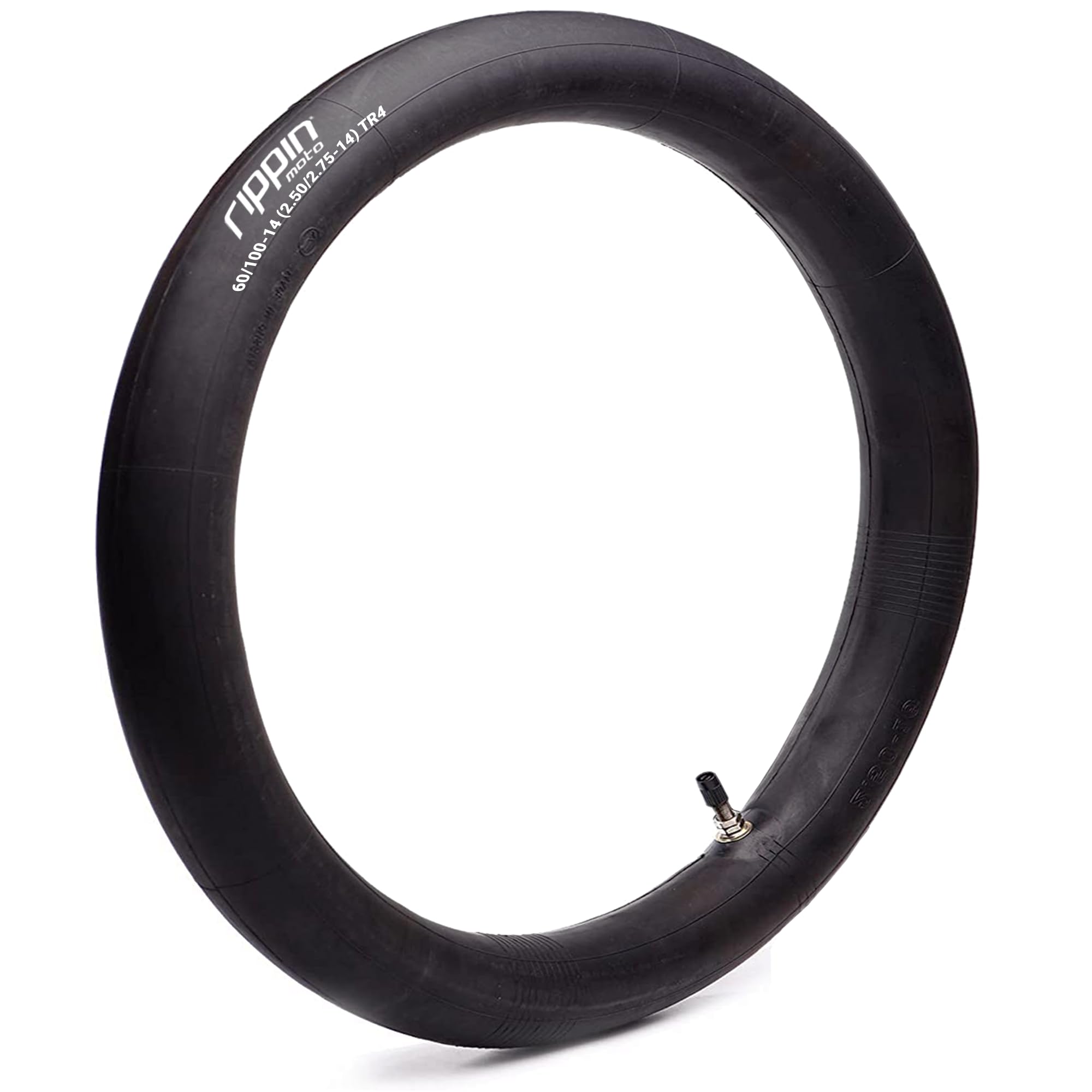 Rippin Moto QR-based 6-month replacement warranty.