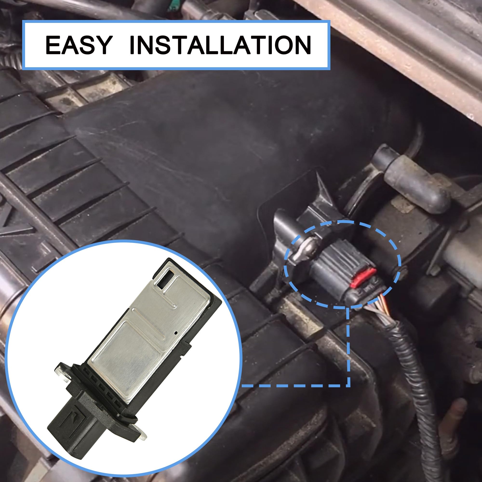 RLP MAF sensor warranty card indicates 12-month support.