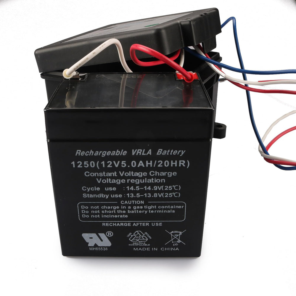 Rnigs 12V storage battery 5Ah included for reliable power