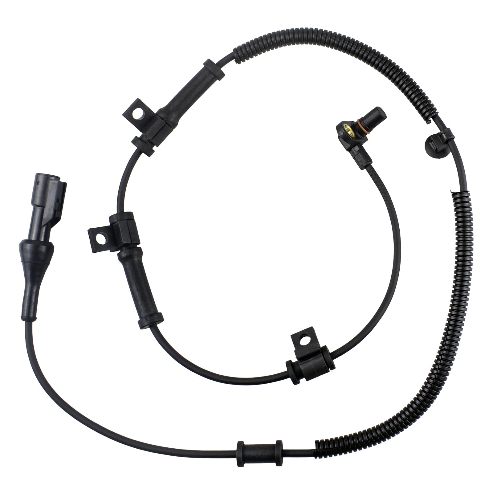 Ruizure ALS505 2-year warranty supports confident shopping and product support.