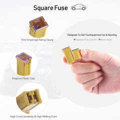 Rustark low-profile fuses shown for space-saving automotive protection.