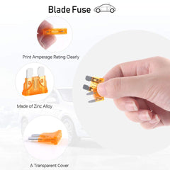 Rustark standard and mini blade fuses arranged for easy selection.