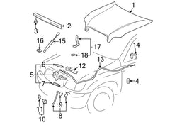 SCHNORKEL front lift support for Toyota Tundra hood assembly, quick replacement for near-new performance