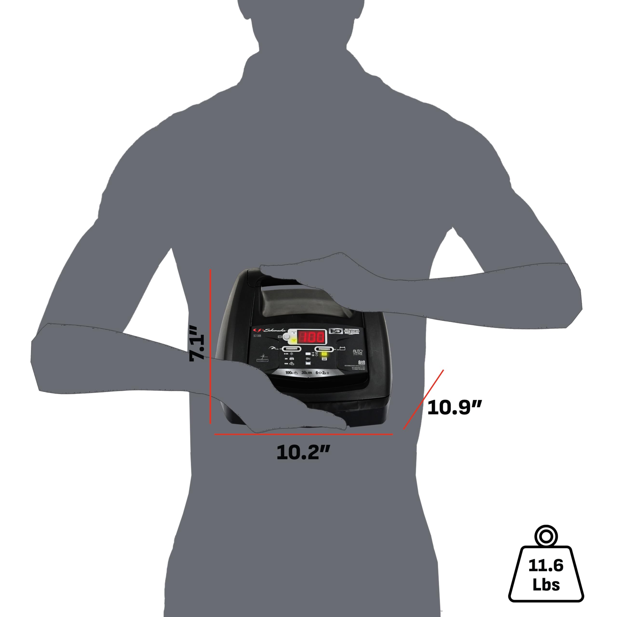 Reverse polarity protection safeguards battery and vehicle connections.