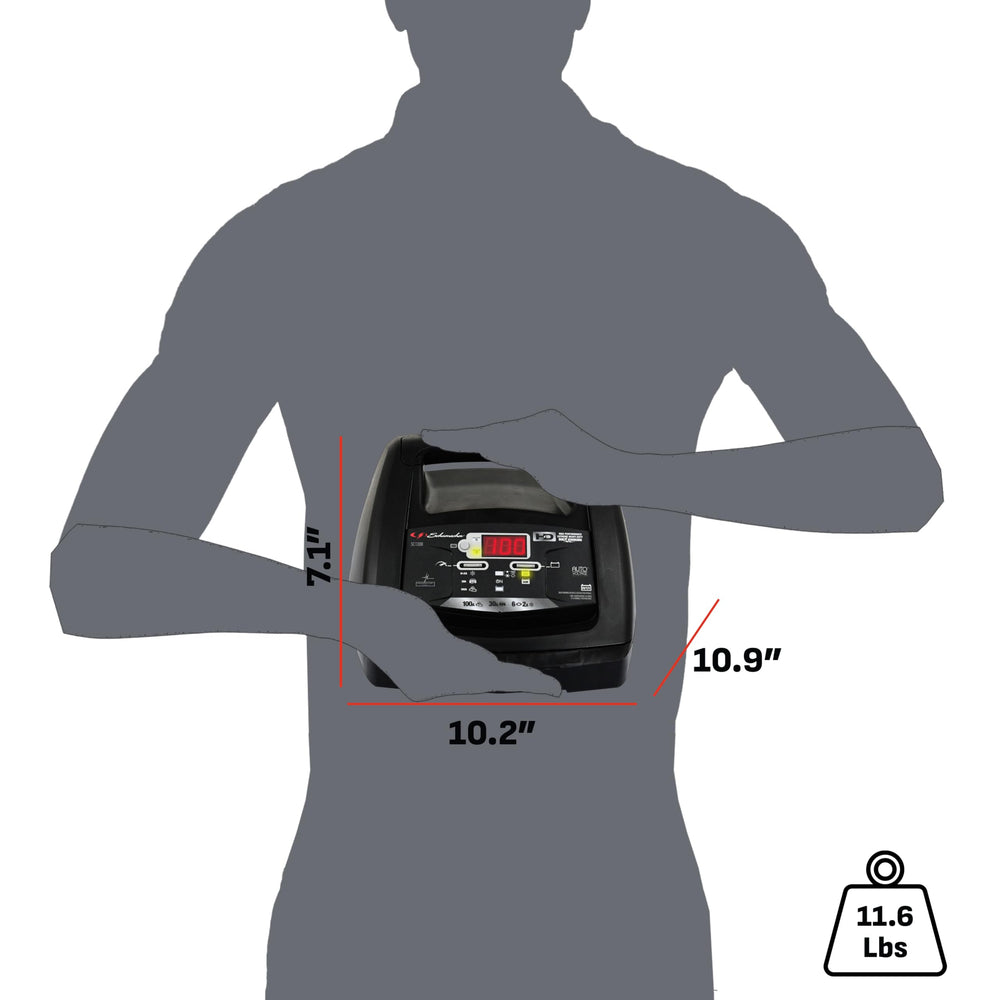 Reverse polarity protection safeguards battery and vehicle connections.