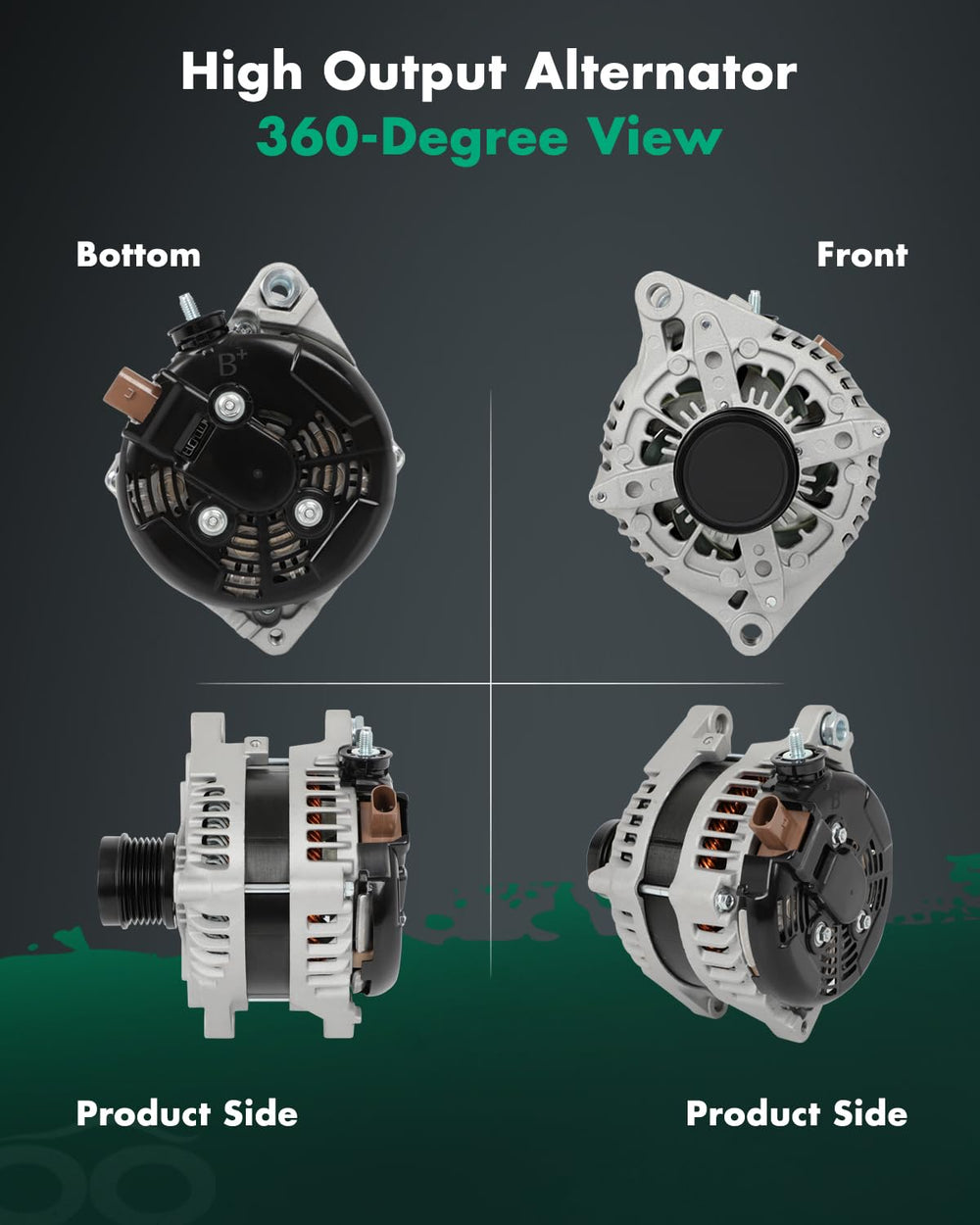 SCITOO bearing test image showing durability