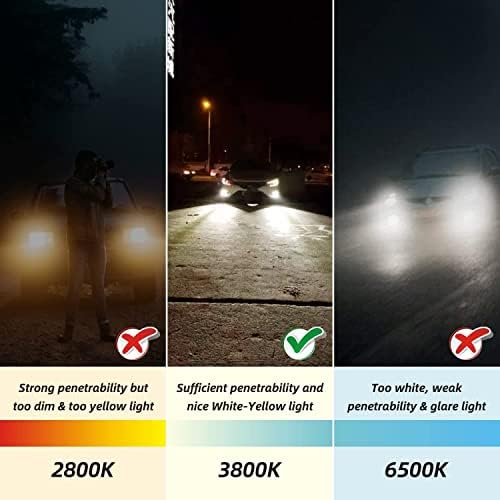 Sinoparcel 9012/HIR2 360-degree light pattern enhances overall roadside visibility