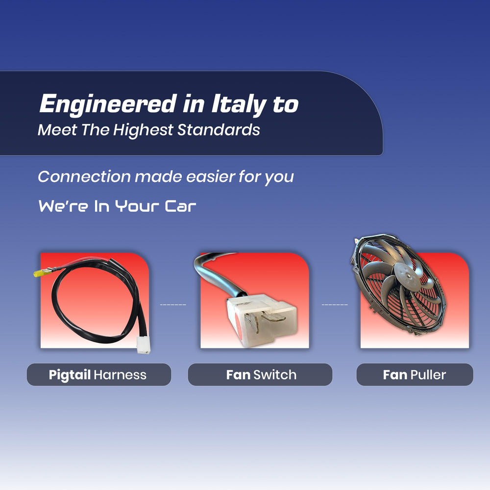 SPAL professional-grade reliability trusted by OEMs and motorsports.