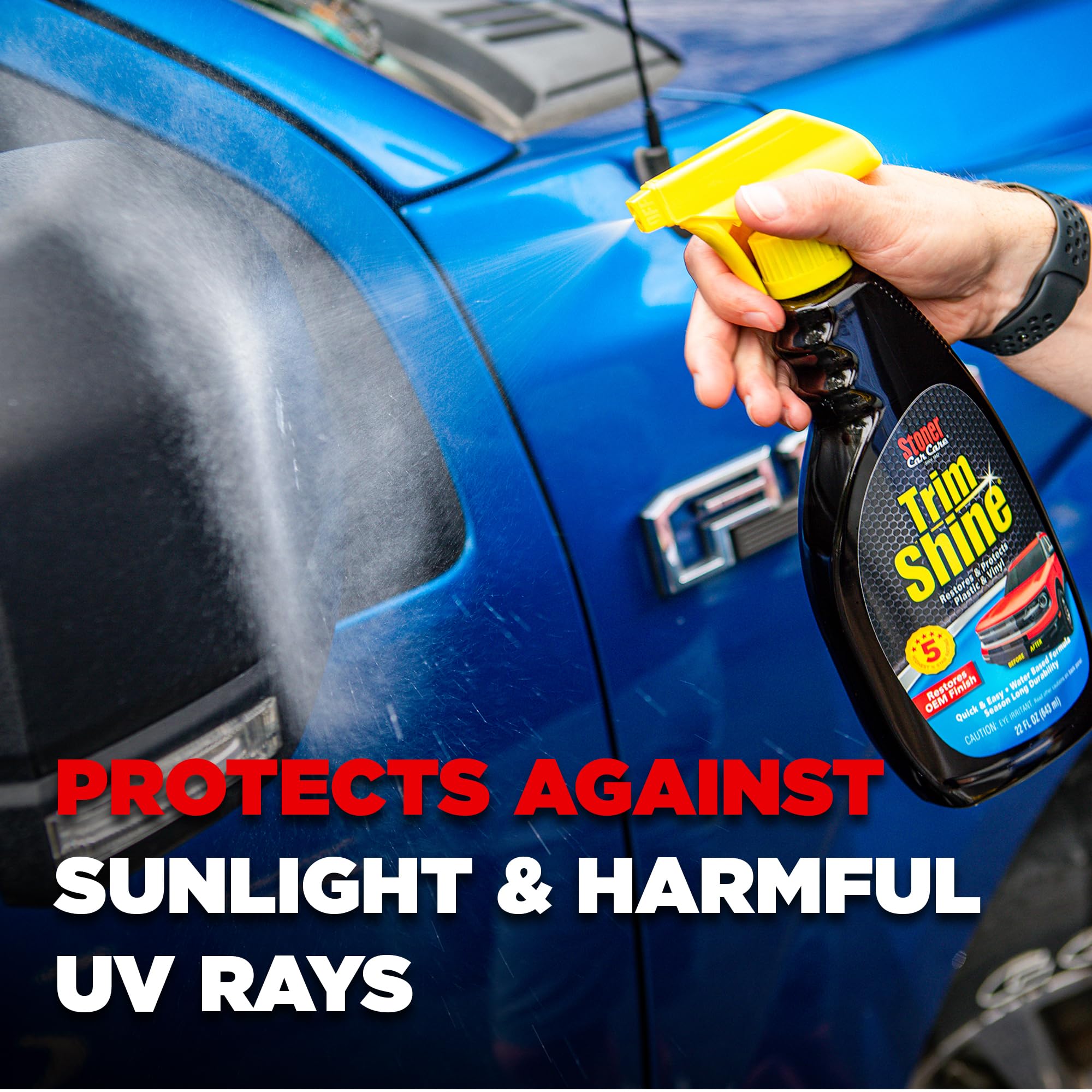 Stoner Trim Shine on door panel reveals even color revival without grease
