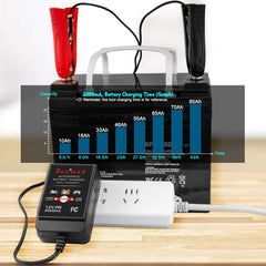Suuwer charger features a 12-foot cord and clips for easy connections anywhere.