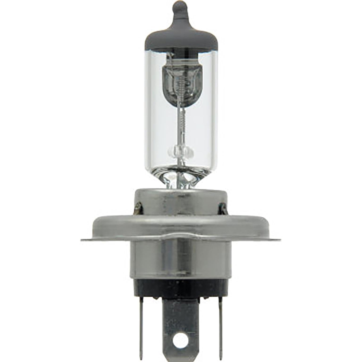 Sylvania 9003 Basic fog light bulb closeup for improved visibility.