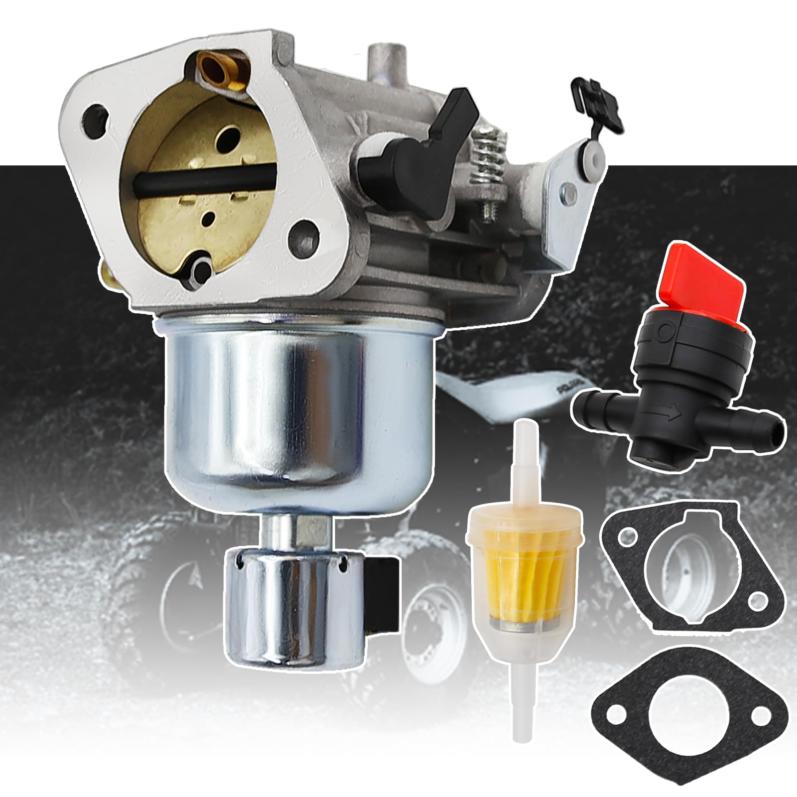 SYOWADA replacement process image hints at easy carb swap steps