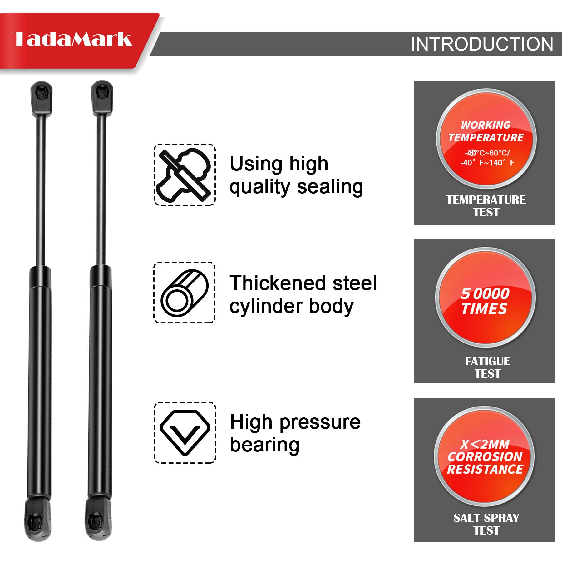 TadaMark gas strut supports boat hatch with controlled lift