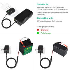 TalentCell compatible with 4S LiFePO4 packs and 12V SLA batteries