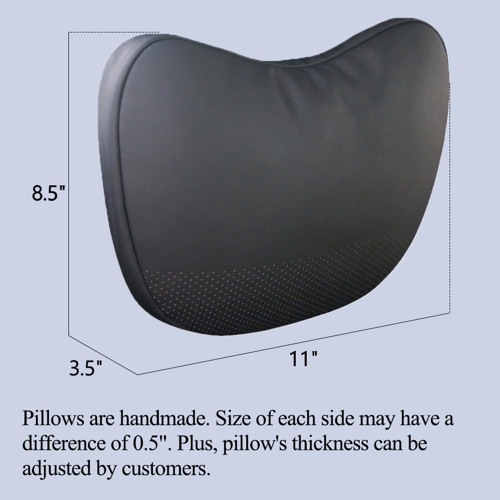TANOLA TESBEAUTY headrest invisible strap demonstrates seamless Tesla integration