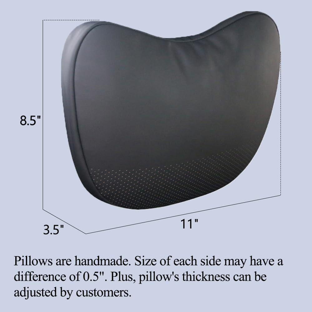 TANOLA TESBEAUTY headrest invisible strap demonstrates seamless Tesla integration