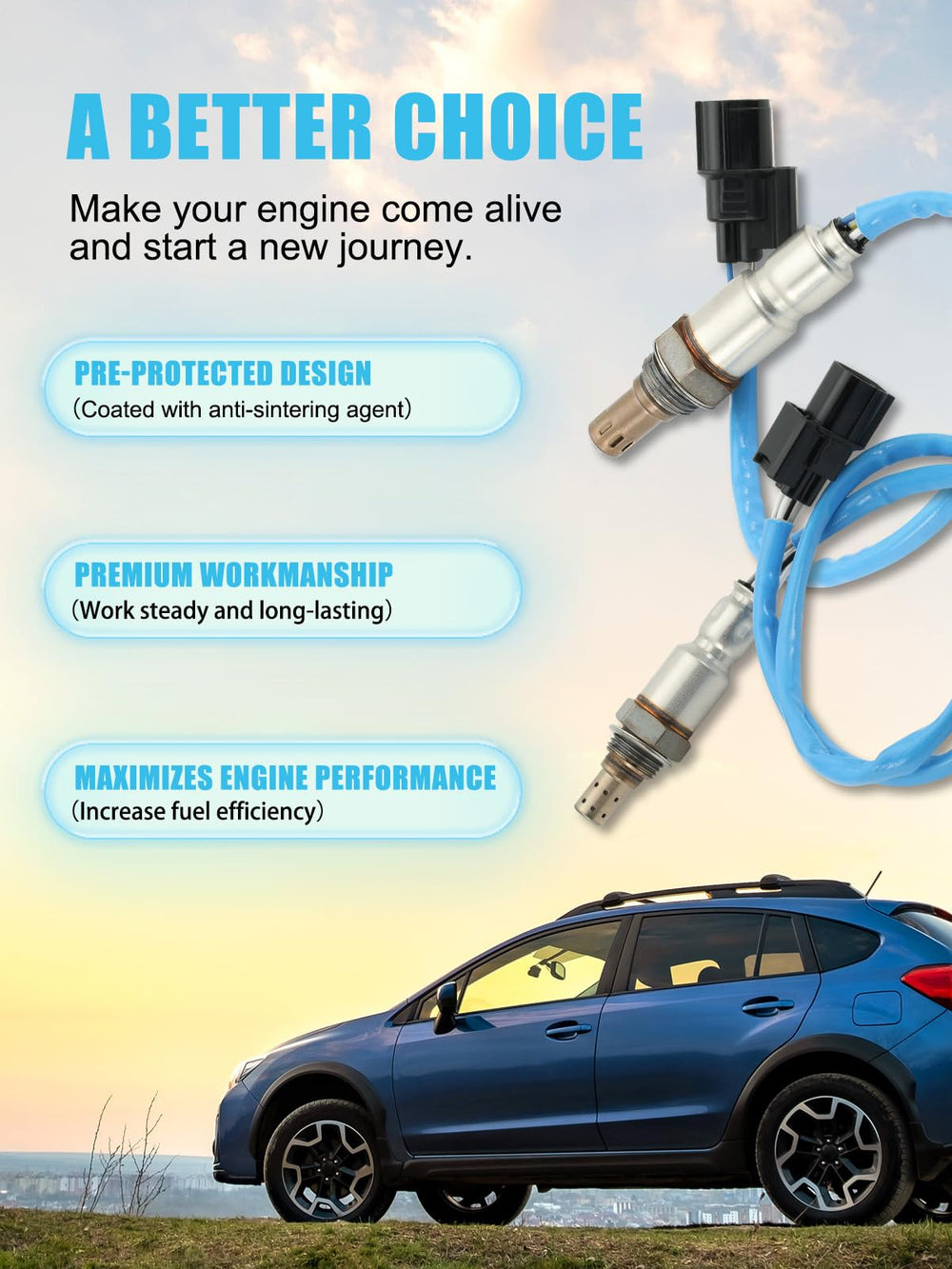TAUTOY warranty badge and testing process signals quality assurance