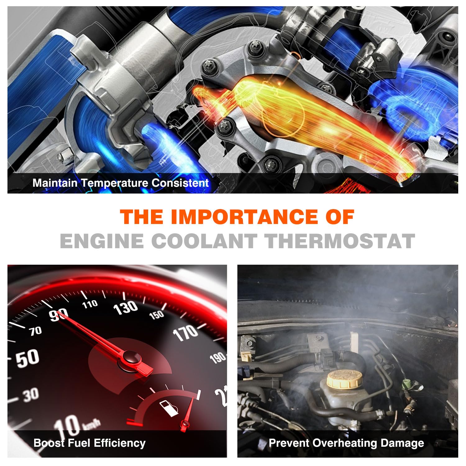 Techie Engine Thermostat under-hood area, showing proper fitment within the engine bay.