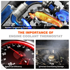 Techie Engine Thermostat under-hood area, showing proper fitment within the engine bay.