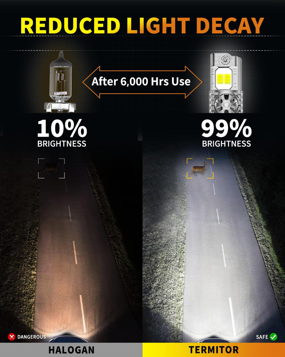 Termitor 9004HB1 night driving setup improving nighttime visibility.
