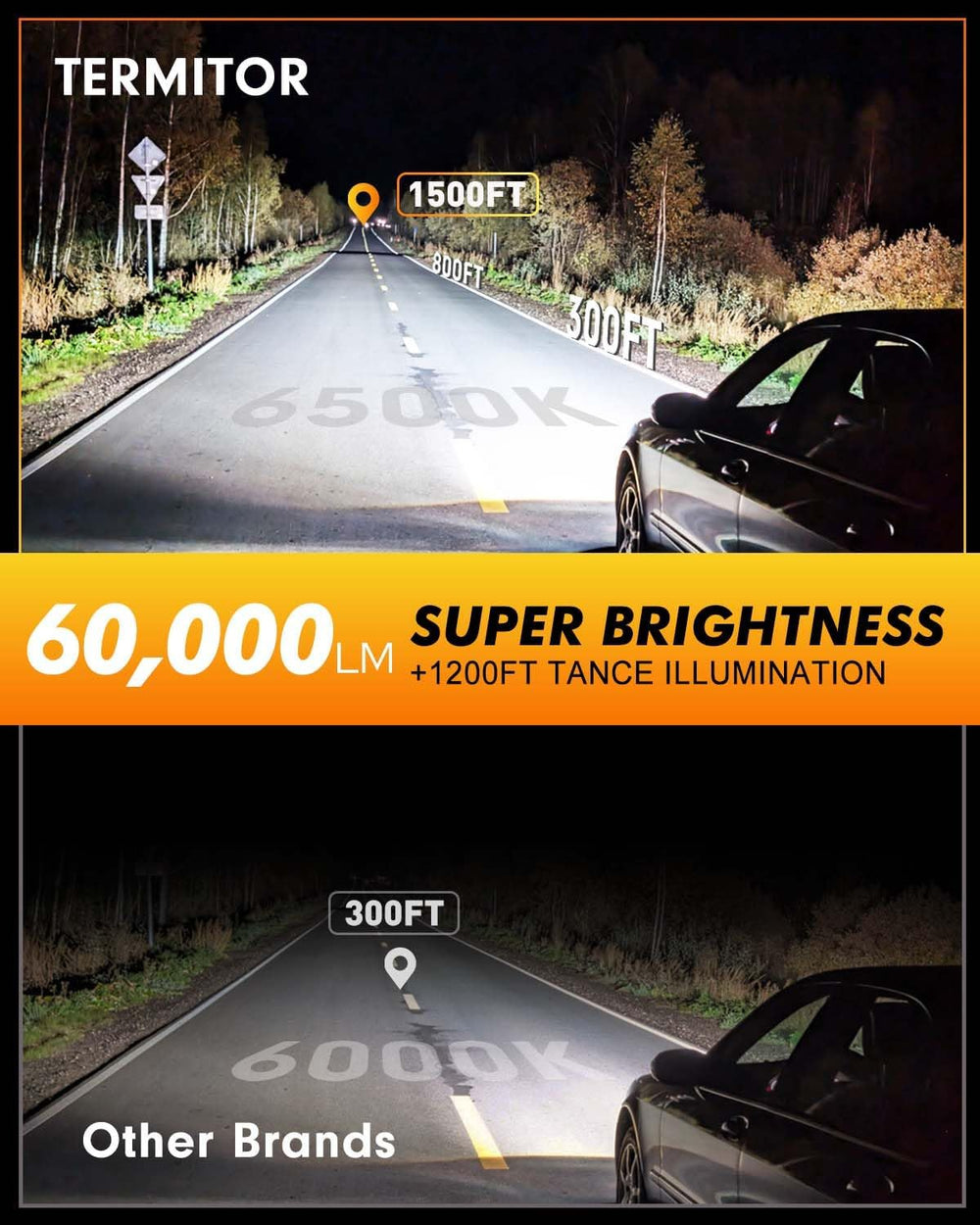 Termitor D5S beams showcase wide coverage for safer night driving.