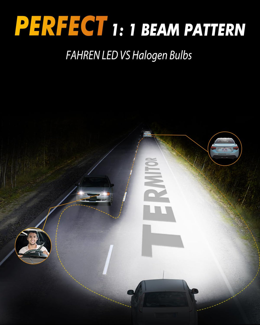 Termitor installation-ready LED bulbs demonstrate a clean, compatible fit.