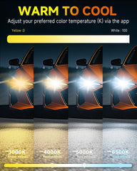 Beam pattern shows precise cutoff for safer night driving.