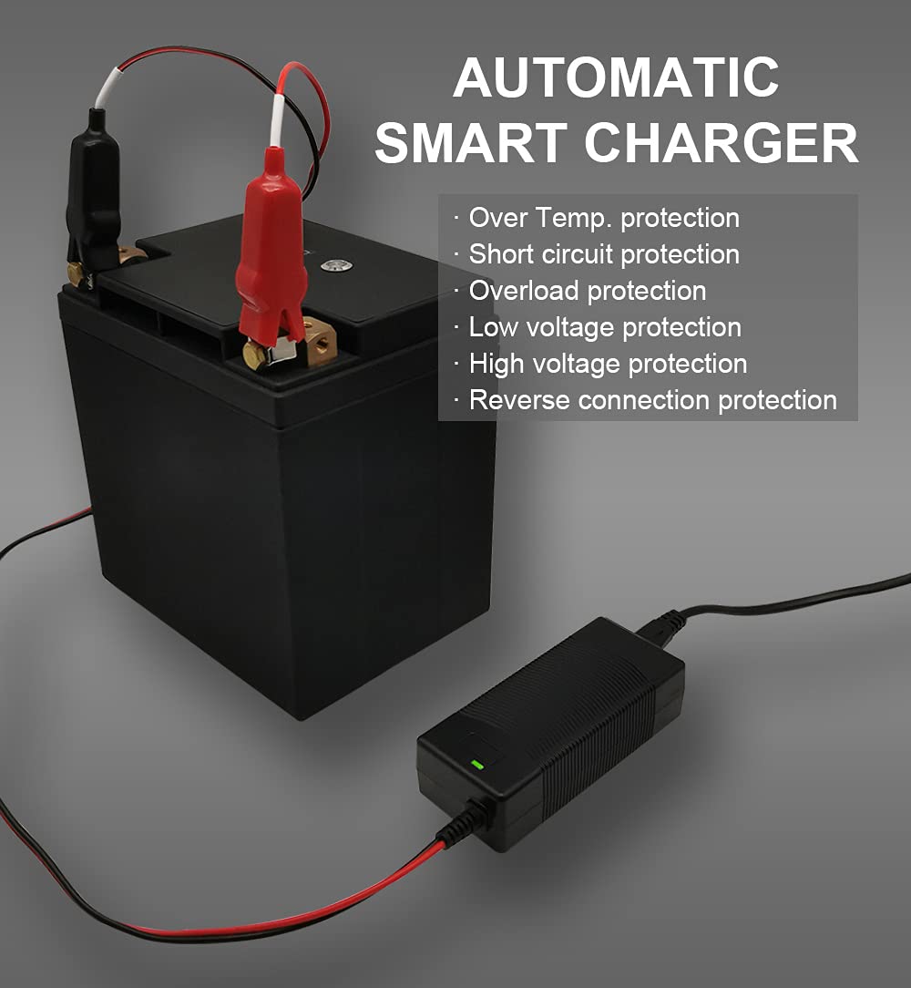 THEPRO 12V charger in CC/CV mode ensures safe, efficient top-ups.