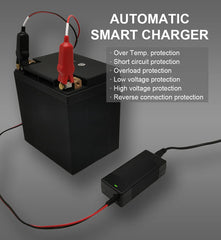 THEPRO 12V charger in CC/CV mode ensures safe, efficient top-ups.