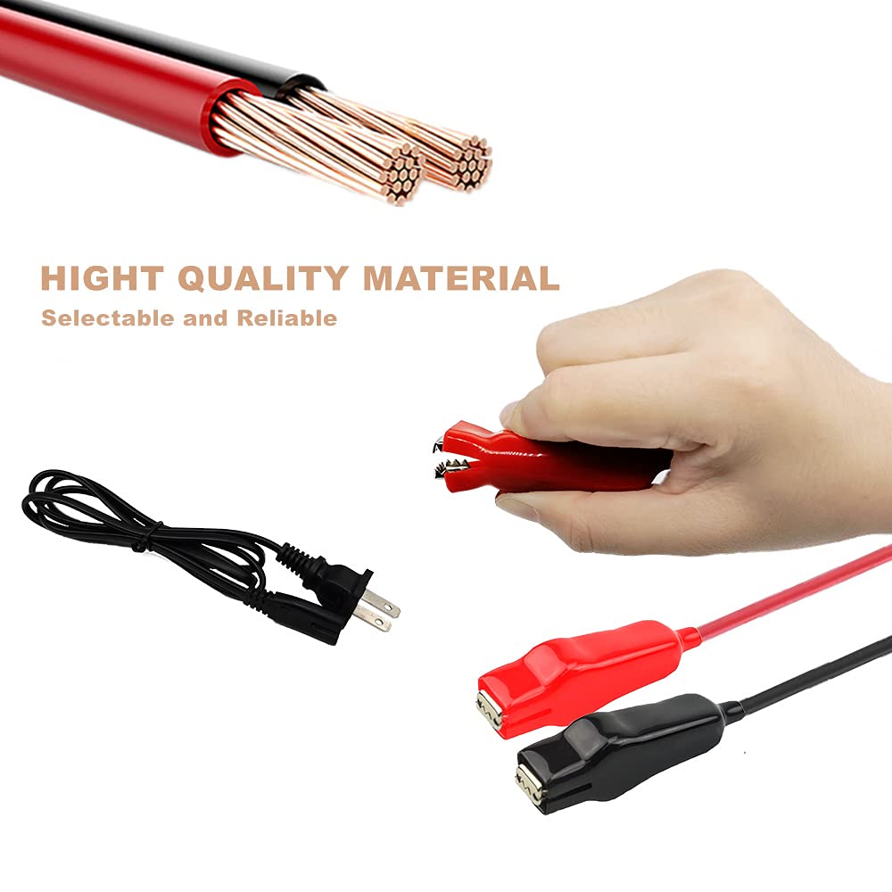THEPRO LiFePO4 charger display panel highlights charging status and safety features.