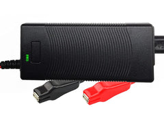 THEPRO 12V 3A LiFePO4 charger front view for compact, convenient storage.
