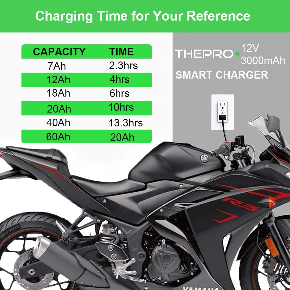 THEPRO indoor charger powers motorcycles, lawn equipment, and ATVs.