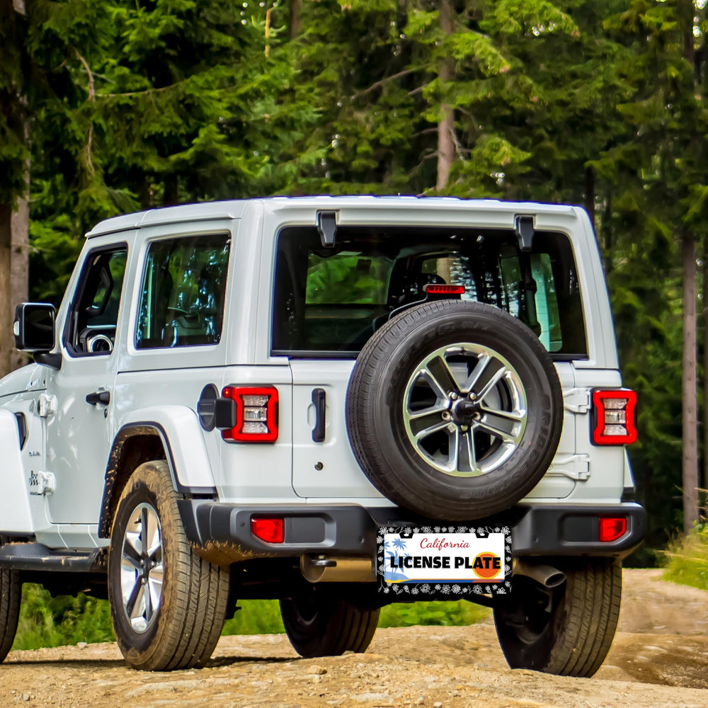 TINALUIN frame edge protection helps prevent plate-contact with paint