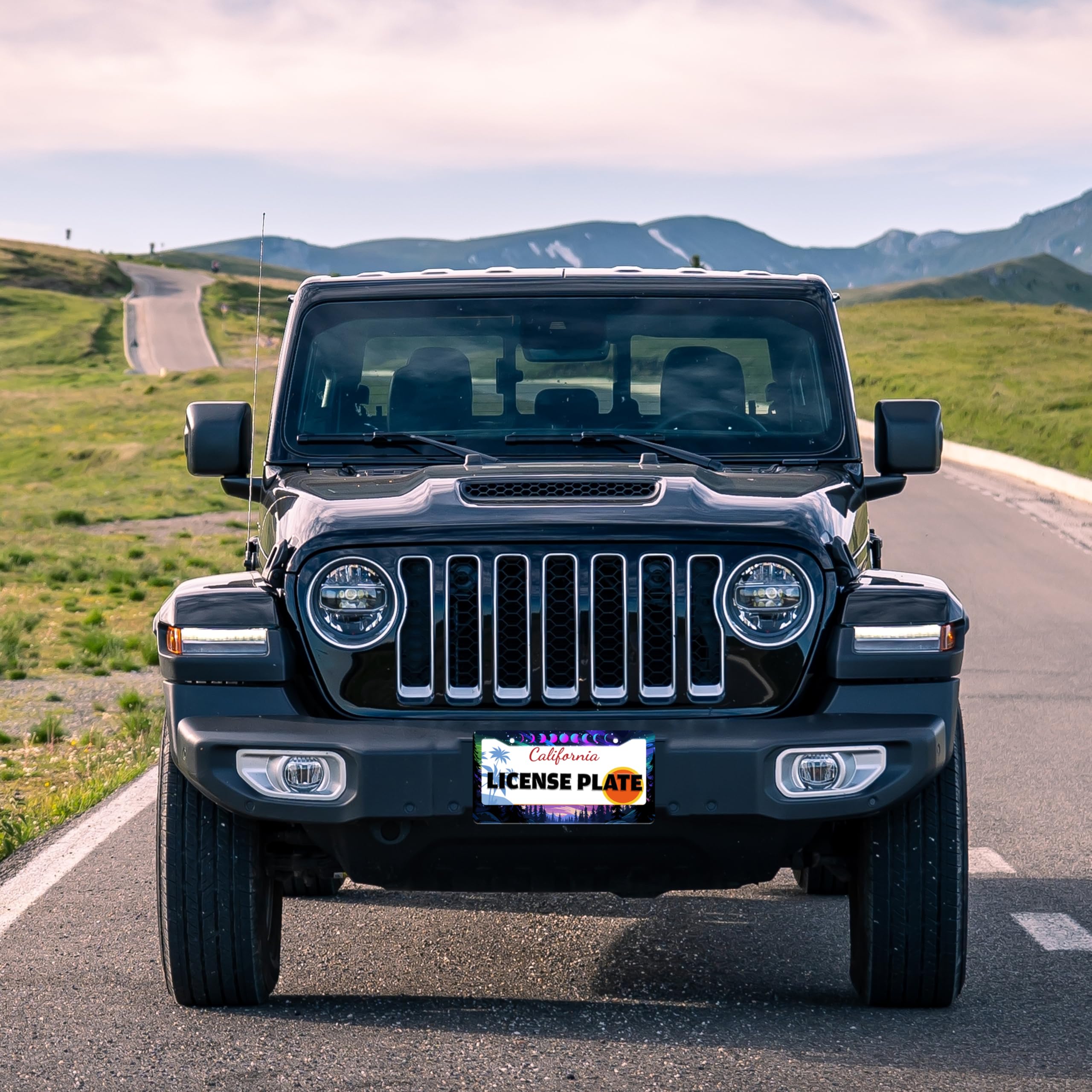 TINALUIN Exquisite pattern helps your vehicle stand out with refined style.