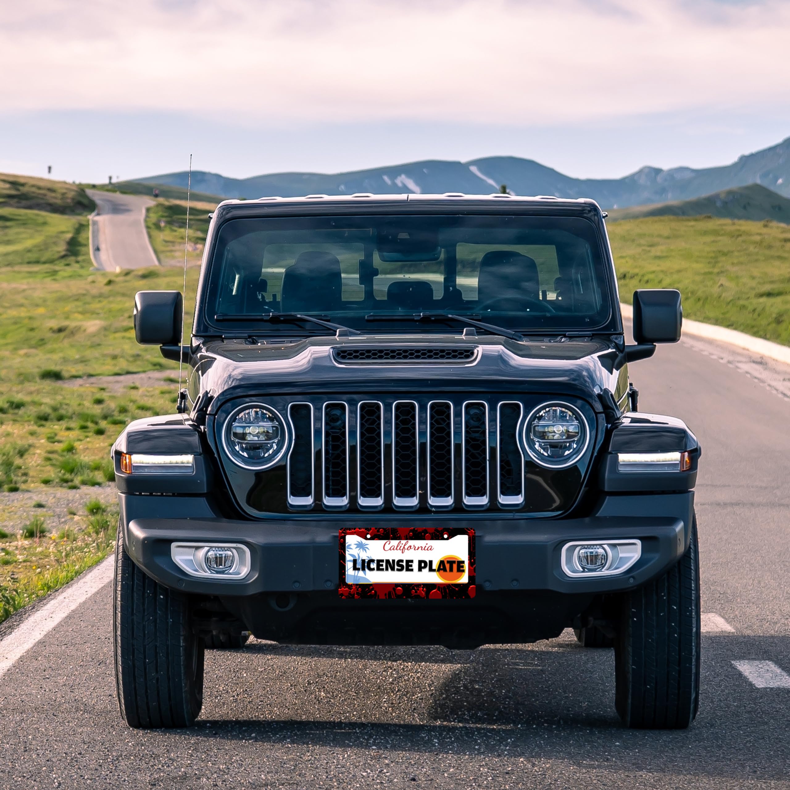 TINALUIN front or rear mounting adds versatile car decoration.
