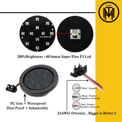 TMH Piranha 12 LEDs per light with smoked lens enhances signaling