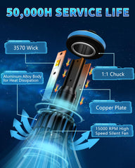 TOPLYGS wide-night-vision improves situational awareness on dark roads.