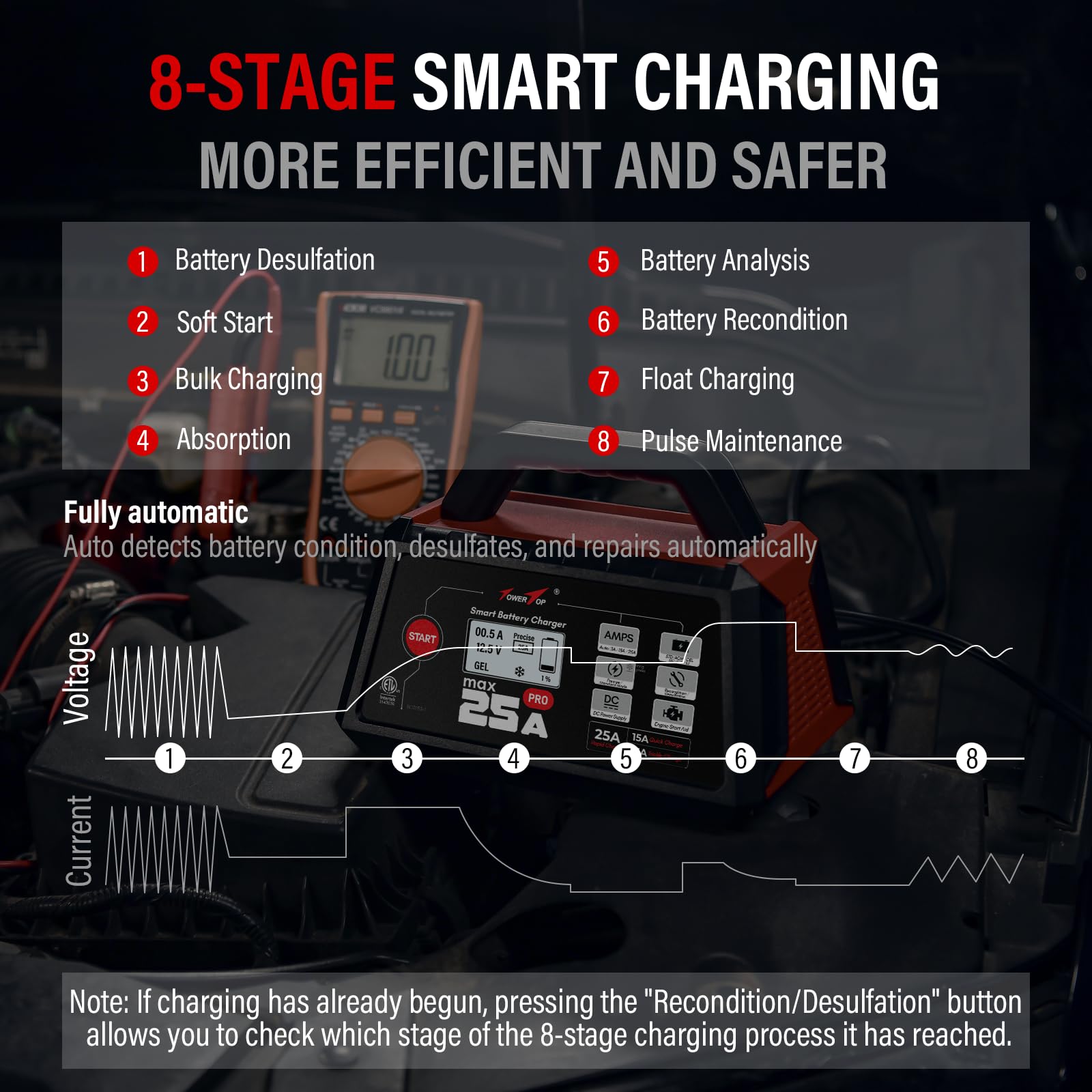 TowerTop 25A Max Pro desulfation and repair options for aging batteries.