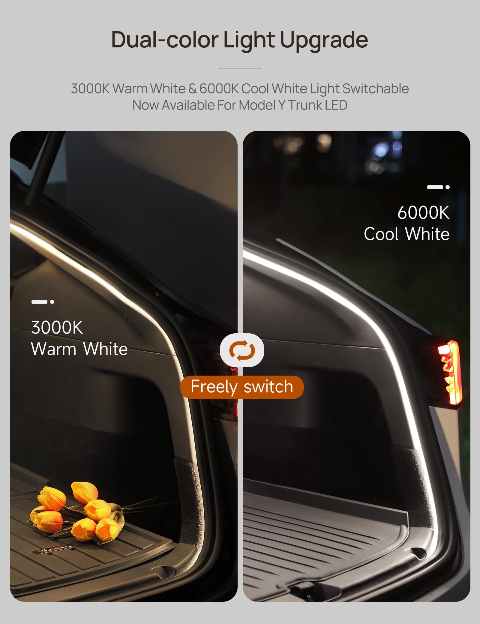 TPARTS dual-color switch demonstrates warm and cool options for cabin ambience