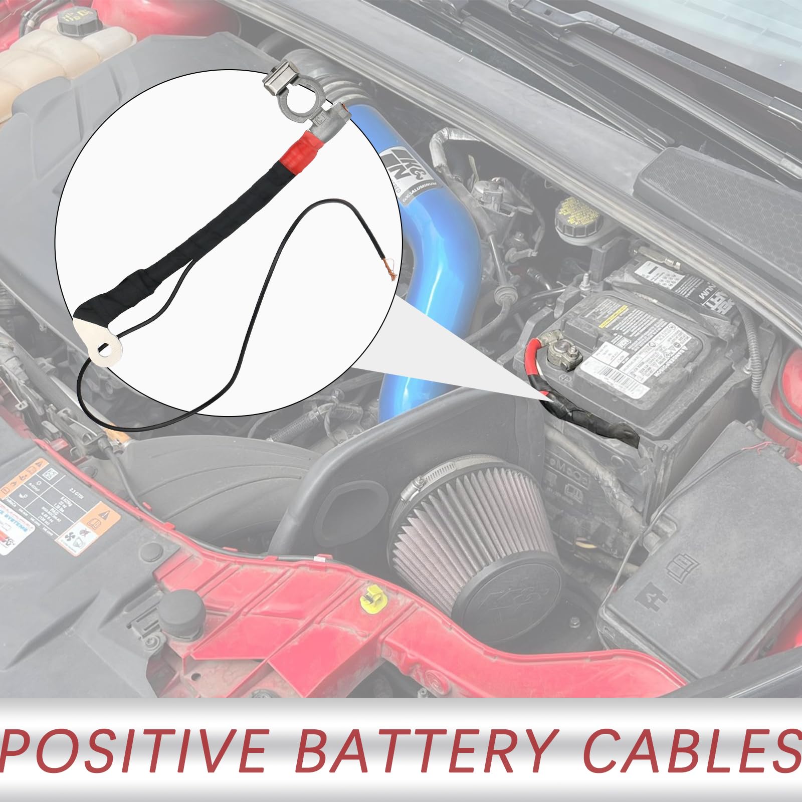 TQPONLY Ford Focus battery cable kit, OEM-style replacement for maintenance